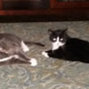 Meet your Posher, Christine